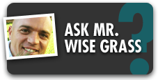 Ask Mr. Wise Grass Blog