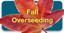 Fall Overseeding Button