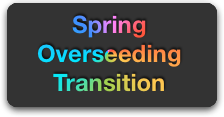 Spring Transition Button