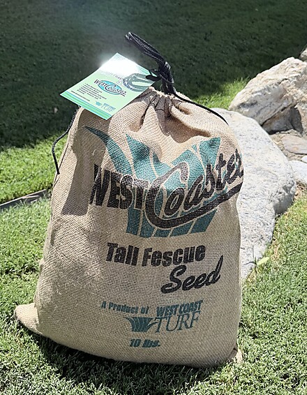 Seed bag